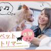 ＴＣＡ東京ＥＣＯ動物海洋専門学校 ペットトリマー体験