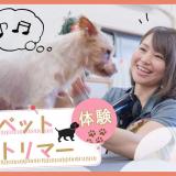 ペットトリマー体験の詳細