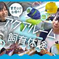 ＴＣＡ東京ＥＣＯ動物海洋専門学校 東京ECO自慢のアクアルーム飼育体験