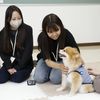 吉田学園動物看護専門学校 どうぶつの救急体験をしよう！