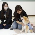 どうぶつの救急体験をしよう！／吉田学園動物看護専門学校