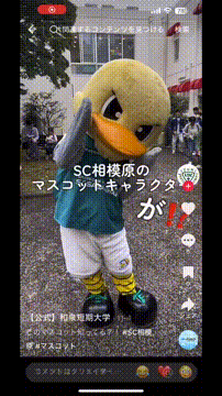 OCカメラサムネイル画像