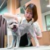 仙台ＥＣＯ動物海洋専門学校 カットやシャンプーを実際にチャレンジ！ ペットトリマー体験！