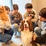 動物看護・トリマー・しつけ！3つのコースぜんぶ体験の詳細