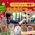 ＴＣＡ東京ＥＣＯ動物海洋専門学校 Xmasスペシャル！猛禽類フェス！
