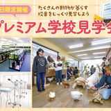 動物業界の適職発見フェスタの詳細