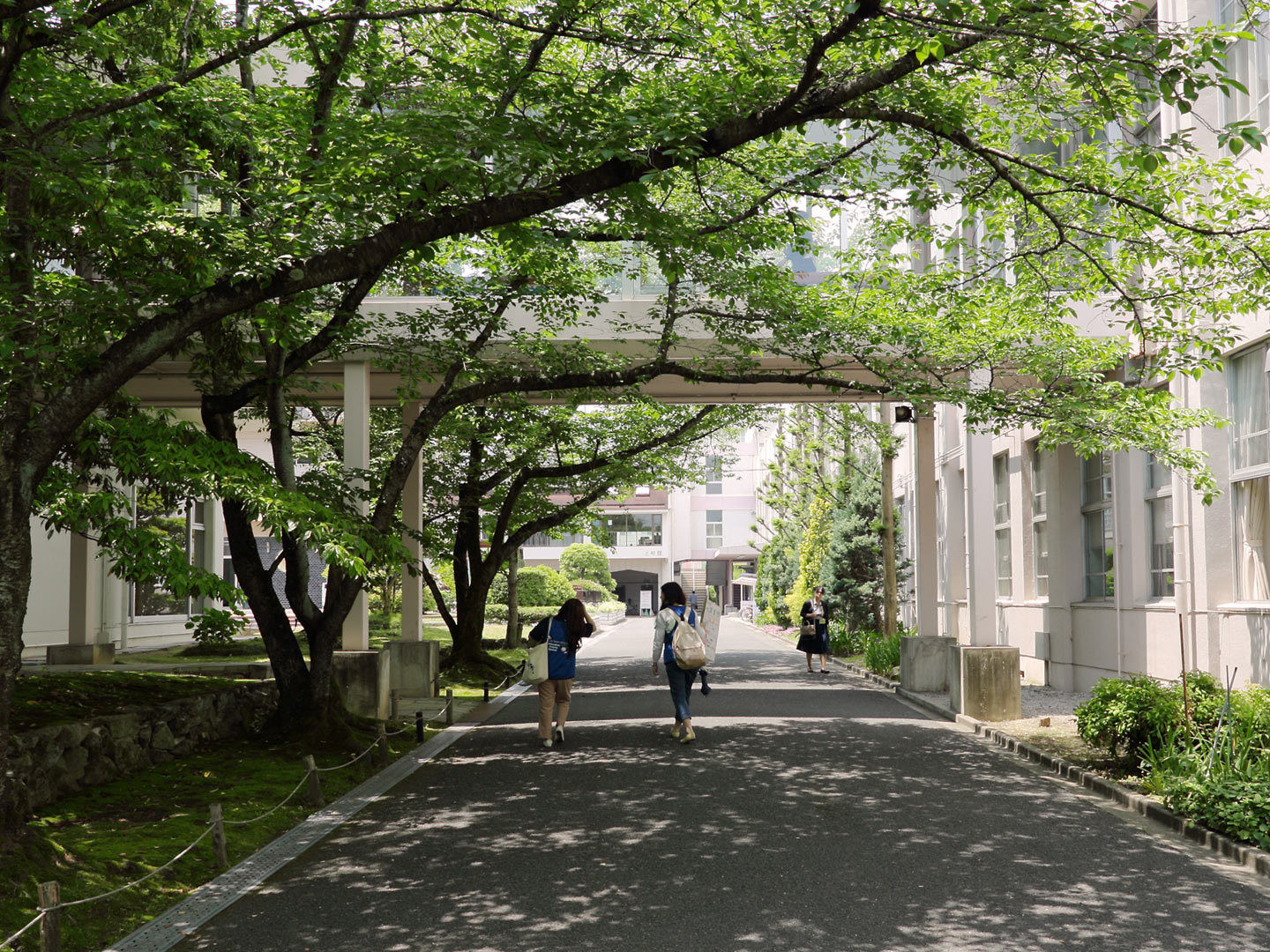 大阪 大谷 大学