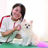 オープンキャンパス♪の詳細