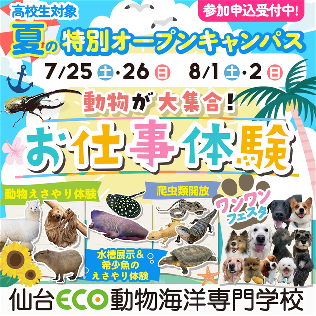 仙台ＥＣＯ動物海洋専門学校 昨年好評につき！【夏休みオープンキャンパス】夏の冒険王！1