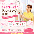 国際動物専門学校 学校説明会（選んだ学科を体験できる日）美容・デザイン学科