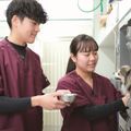 高崎動物専門学校 【動物看護】健康は歯から！動物の歯のお手入れを体験しよう