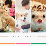 未来の動物のプロフェッショナルへ！オープンキャンパスの詳細