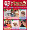 仙台ビューティーアート専門学校 ＊無料バス付＊クリスマススペシャルオープンキャンパス★