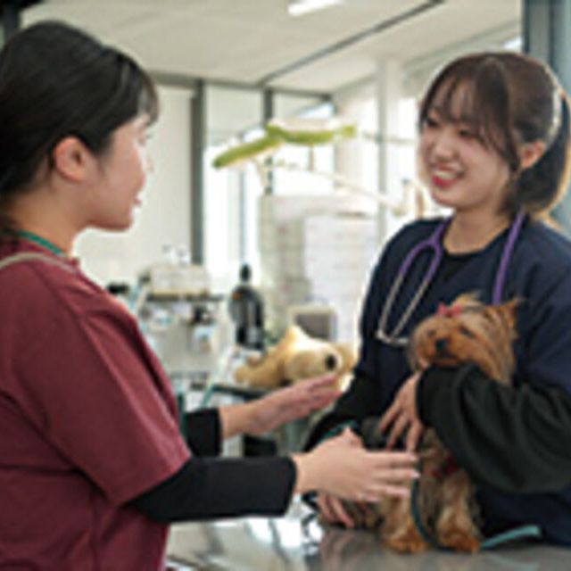 専門学校ビジョナリーアーツ ワンコの健康チェック1