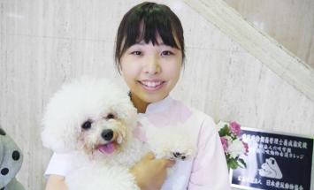 専門学校穴吹動物看護カレッジのブログインフォ一覧 6 スタディサプリ 進路