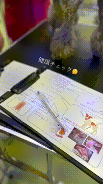 OCカメラサムネイル画像