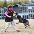 【ドッグトレーナー】嗅覚について学ぼう＆警察犬襲撃デモ／専門学校　ちば愛犬動物フラワー学園