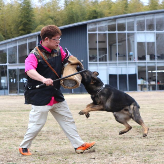 専門学校　ちば愛犬動物フラワー学園 【ドッグトレーナー】嗅覚について学ぼう＆警察犬襲撃デモ1