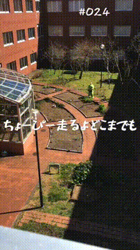 OCカメラサムネイル画像