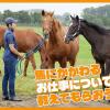 ＴＣＡ東京ＥＣＯ動物海洋専門学校 馬にかかわるお仕事について教えてもらおう！