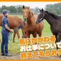 ＴＣＡ東京ＥＣＯ動物海洋専門学校 馬にかかわるお仕事について教えてもらおう！
