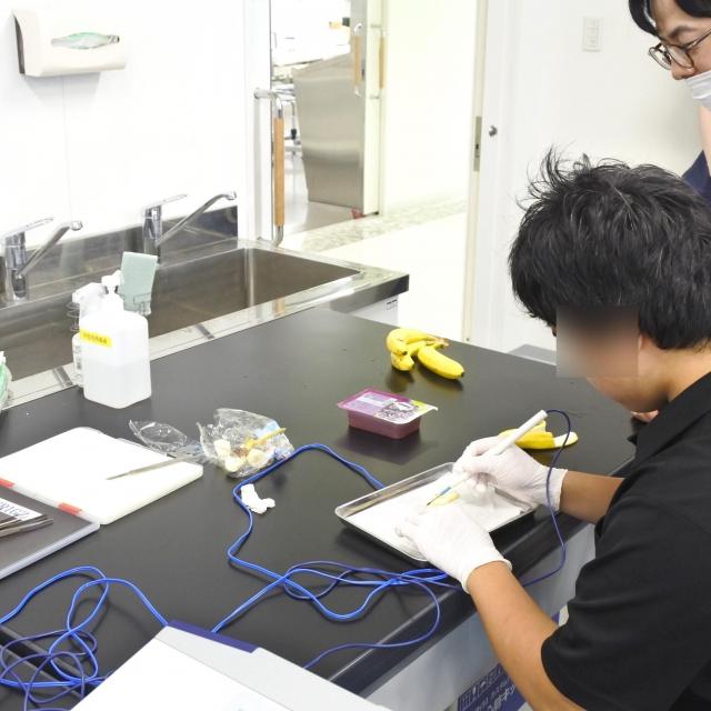群馬パース大学 【仮予約】臨床工学科 / 臨床工学業務体験、体験授業 など2
