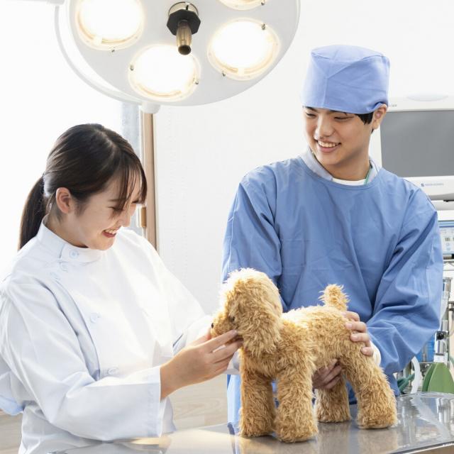 専門学校 東京ビジネス・アカデミー 現役の獣医師と動物看護師が教える！動物看護師のキホン1