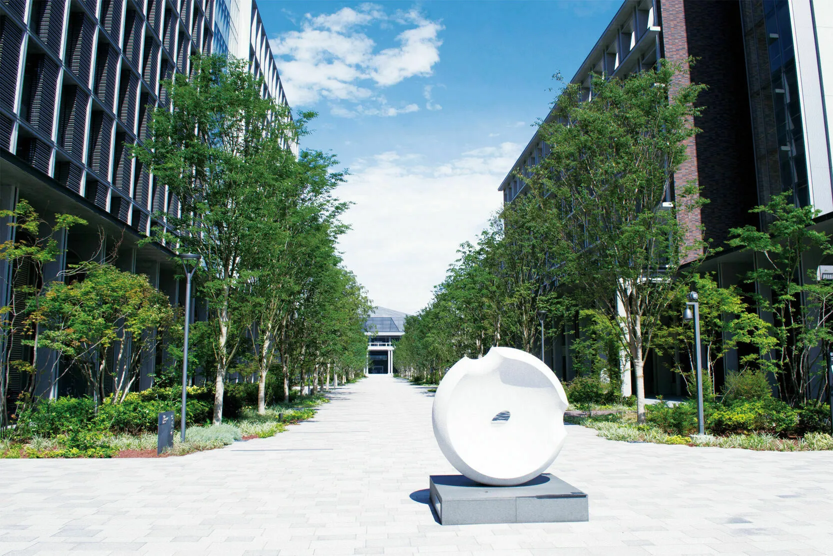 東京理科大学 資料・願書請求｜最先端の理工系教育を体験しよう！