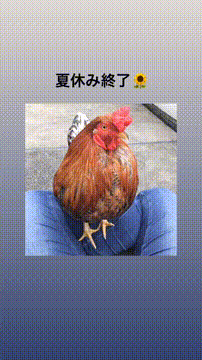 OCカメラサムネイル画像