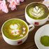 赤堀製菓・カフェ専門学校 大満足♪試食あり体験授業DAY：抹茶シフォン＆抹茶ラテ2
