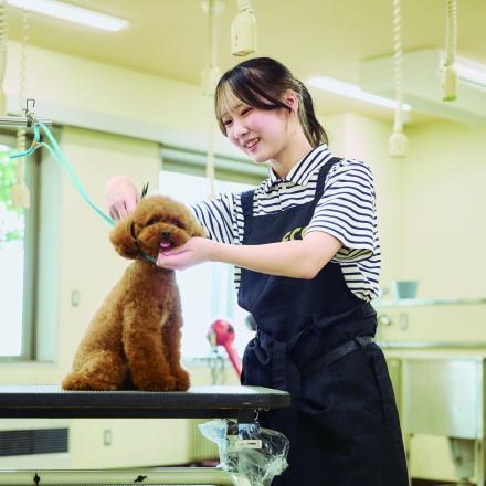 在校生レポート画像