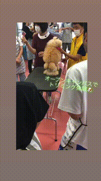 OCカメラサムネイル画像