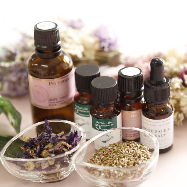 東日本栄養医薬専門学校 春休み体験入学会2026　医薬学科3