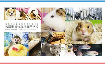 大阪動植物海洋専門学校のブログインフォ一覧 57 スタディサプリ 進路
