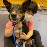 Kapの動物たちとふれあいも♪職業体験オープンカレッジの詳細