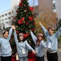 京都外国語短期大学 クリスマスオープンキャンパス