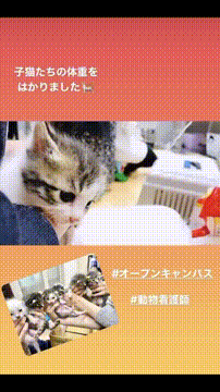 OCカメラサムネイル画像