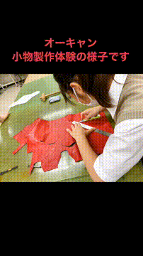 OCカメラサムネイル画像