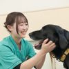 東京愛犬専門学校 愛犬総合学科　犬猫に関する知識を総合的に学べる学校の体験入学
