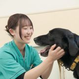 愛犬総合学科　犬猫に関する知識を総合的に学べる学校の体験入学の詳細