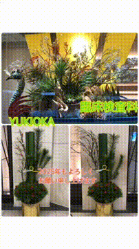 OCカメラサムネイル画像