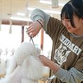 専門学校ビジョナリーアーツ プロから学ぶ本格カットに挑戦！