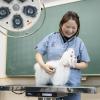 東京愛犬専門学校 動物看護学科　動物医療の専門性と応用力を養う学校の体験入学