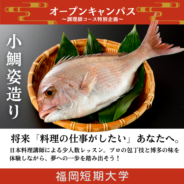 福岡短期大学（仮称） 12/20（土）調理師コース特別企画「小鯛姿造り」開催！1