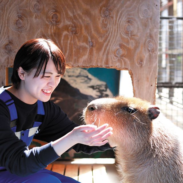 学内のさまざまな動物とふれあいながら！動物園・動物飼育体験！／仙台ECO動物海洋専門学校のオープンキャンパス情報と予約申込【スタディサプリ 進路】