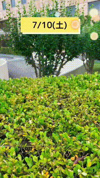 OCカメラサムネイル画像