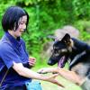 仙台ＥＣＯ動物海洋専門学校 沢山の学校犬に出会える！ドッグトレーナー体験！