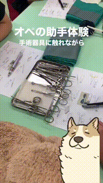 OCカメラサムネイル画像