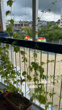 OCカメラサムネイル画像