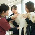 専門学校ビジョナリーアーツ 動物の看護×理学
